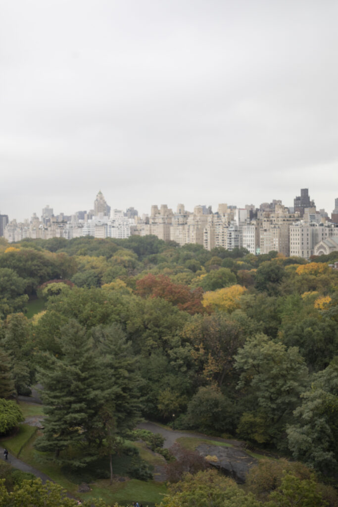 Apartment overlooking central park