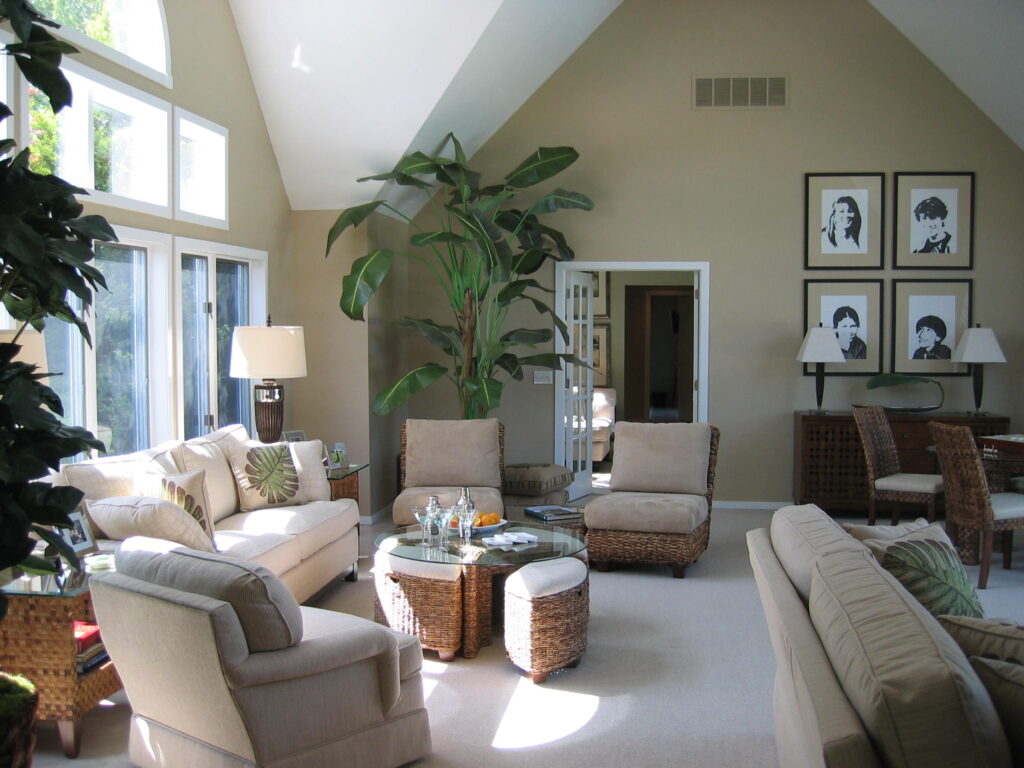 Indoor palm trees in living room